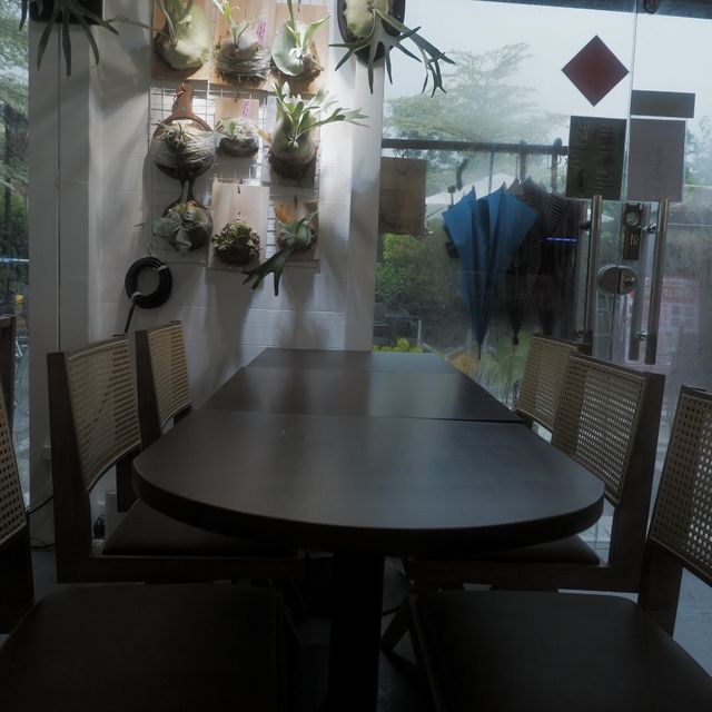 田園Cafe+貓店長，推介超軟霖豬肋排 