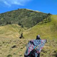 The Bromo Mountain