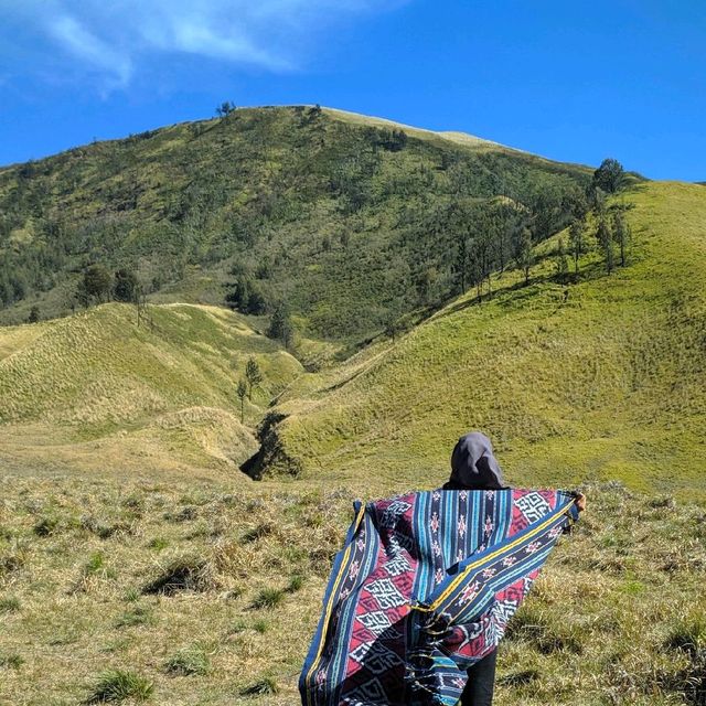 The Bromo Mountain