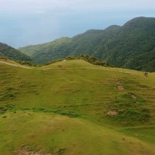 新北 | 桃源谷大草原，360度山海美景輕鬆入手