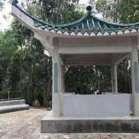 近距離欣賞青馬大橋—青衣自然徑