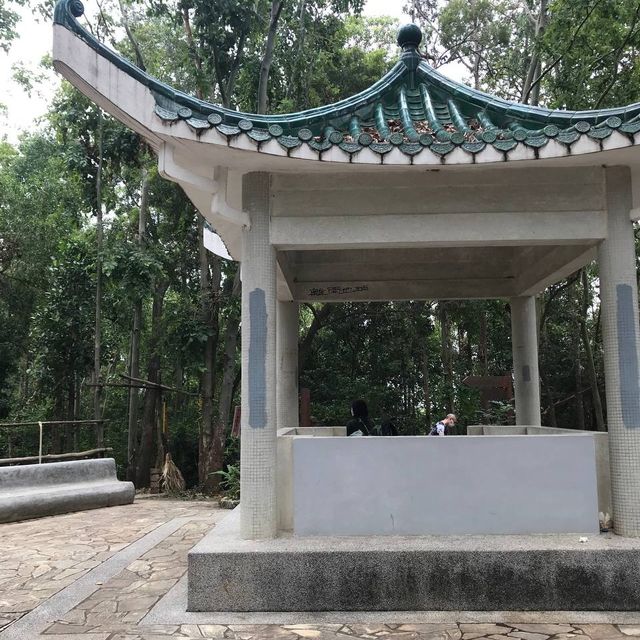 近距離欣賞青馬大橋—青衣自然徑