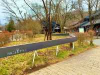 【長野】軽井沢のおしゃれスポット「ハルニレテラス」