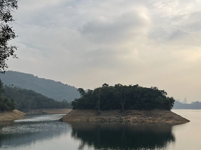 城門水塘 白千層美景