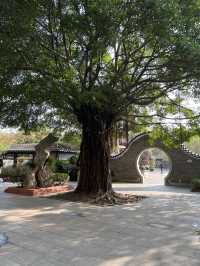 🏯古裝劇取景必去- 美孚「嶺南之風」🌺🏯