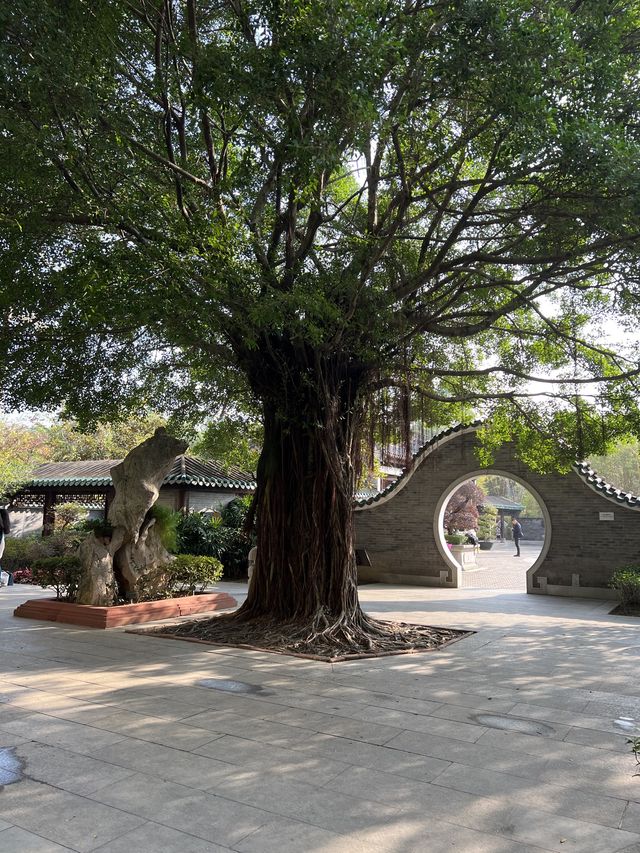 🏯古裝劇取景必去- 美孚「嶺南之風」🌺🏯