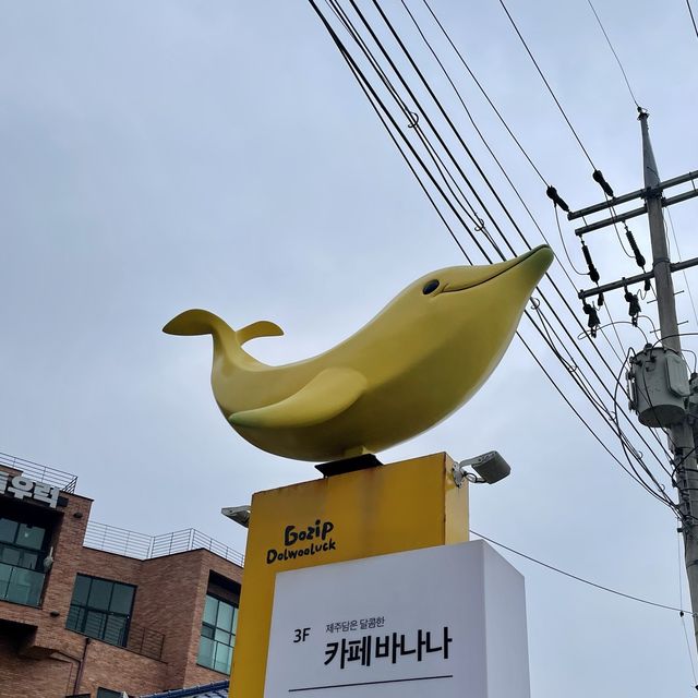 제주 함덕 카페 카페바나나 함덕점