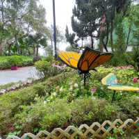 賞花攻略 蝴蝶灣公園