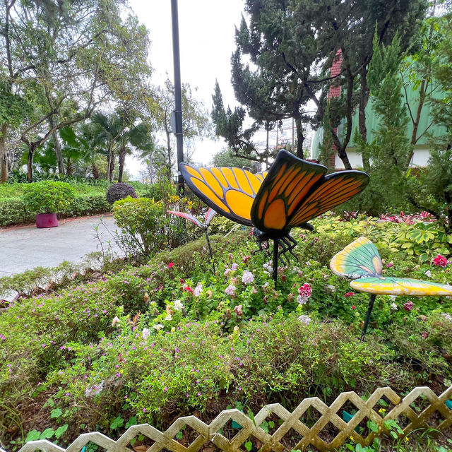 賞花攻略 蝴蝶灣公園