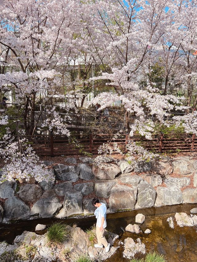 북한산과 정릉천이 이쁜 산책길 ‘정릉산책길’