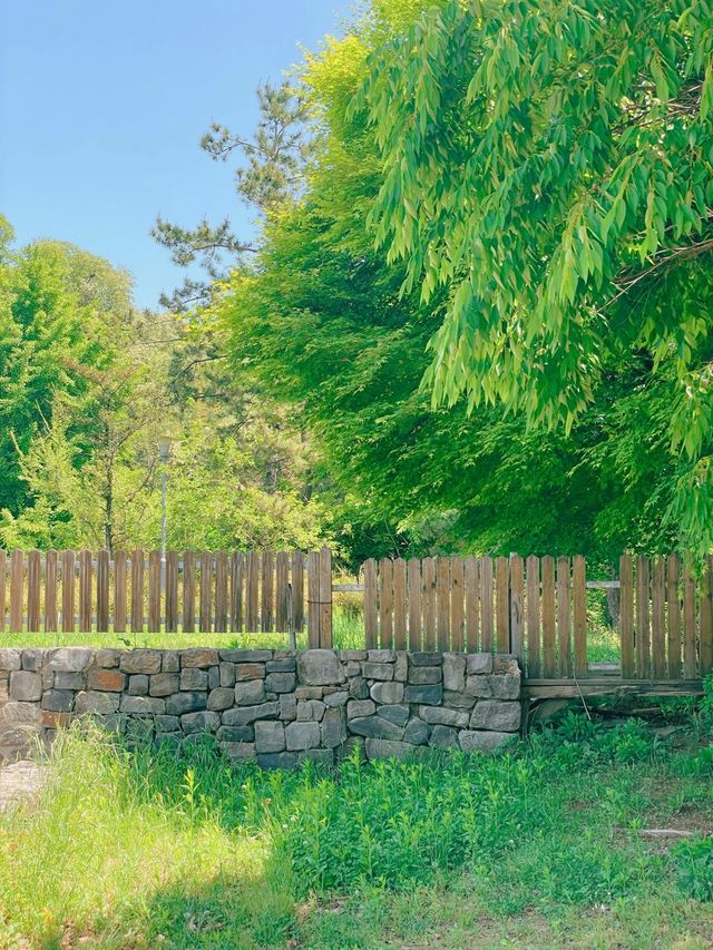 봄나들이 가기좋은 김해 봉황대공원 🌳