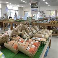 【兵庫　淡路島】産直野菜はその日の採れたて新鮮🌟🌟