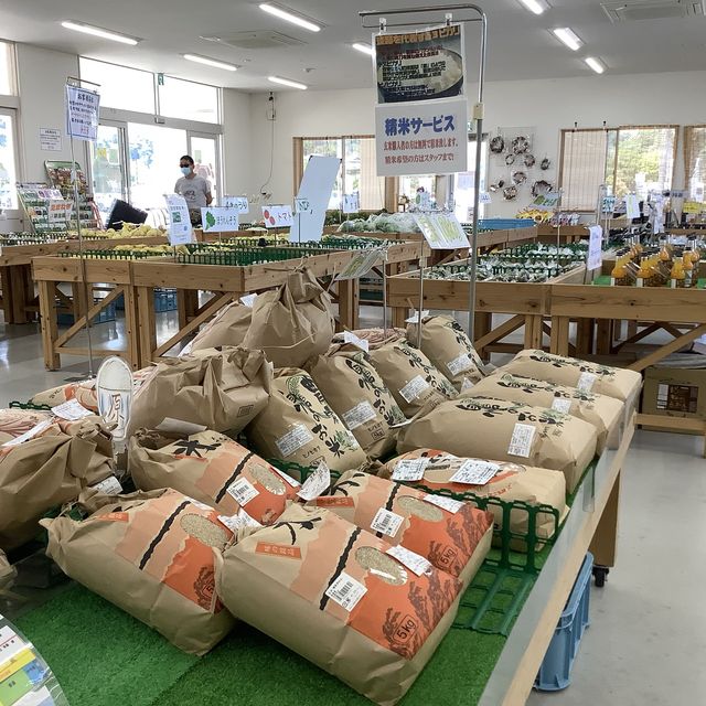 【兵庫　淡路島】産直野菜はその日の採れたて新鮮🌟🌟