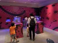 旧ボストン美術館【ファーブル昆虫展】①