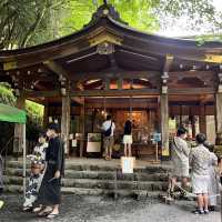 【京都】夏の涼を求めて訪れたい場所
