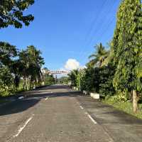 Bohol Chocolate Hills