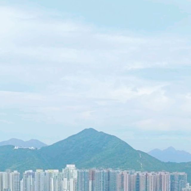 四十七樓頂樓 , 睥視全東九龍西餐廳 , 嘆午餐！