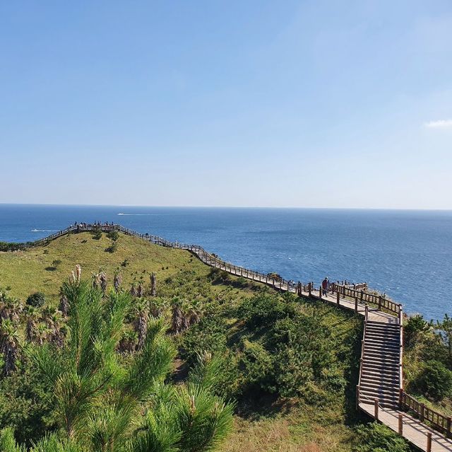 제주도 둘레길 필수코스는 역시 송악산이 압도적!!