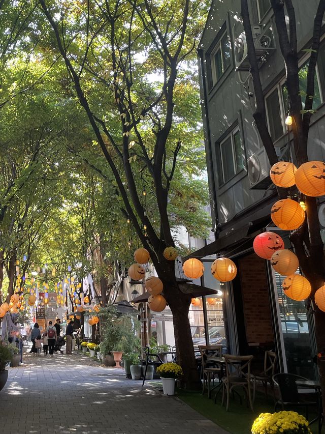할로윈데이 느끼러 용인으로 떠나요🎃
