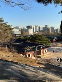 One of the most beautiful areas in Seoul! 