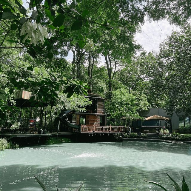 No.39 Café - ร้านกาแฟธรรมชาติ ป่าในเมือง No.39 Café - ร้านกาแฟธรรมชาติ ป่าในเมือง