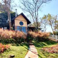 Faprathan Farm Cafe' @ Wangnamkeaw