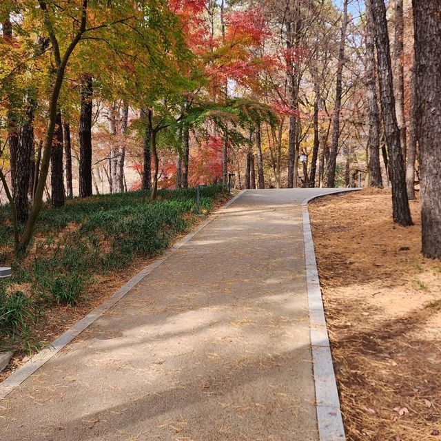 부여 부소산성을 둘러보다.