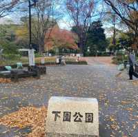 下園公園看紅葉