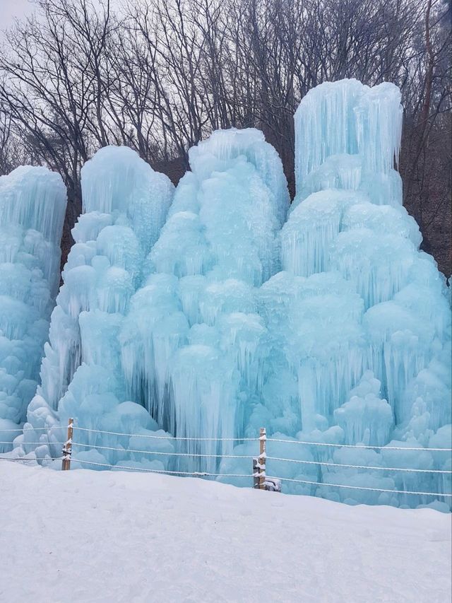 청양 알프스마을×청송 얼음골❄️여기가 겨울핫플🤍