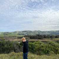 Road trip ติดอันดับโลก ที่ Great Ocean Road 