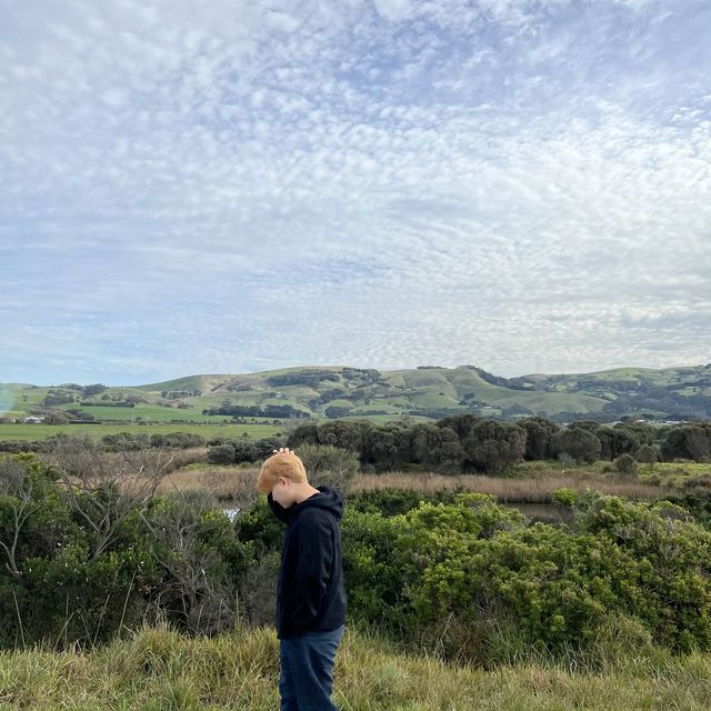 Road trip ติดอันดับโลก ที่ Great Ocean Road 