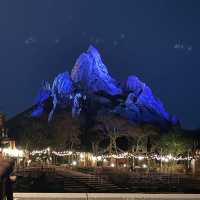 Nighttime at Animal Kingdom 