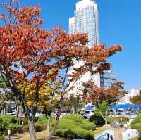 Fall in Pyeongwha Square