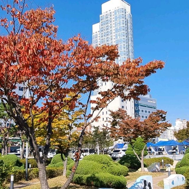 Fall in Pyeongwha Square