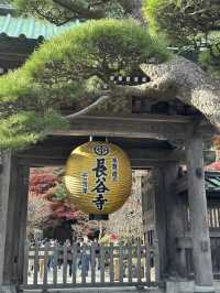 長谷寺
