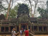 Ta Promh Temple 