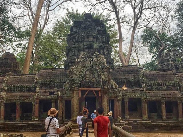 Ta Promh Temple 