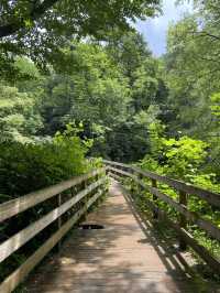 Chimney Top Trail - Smoky National Park