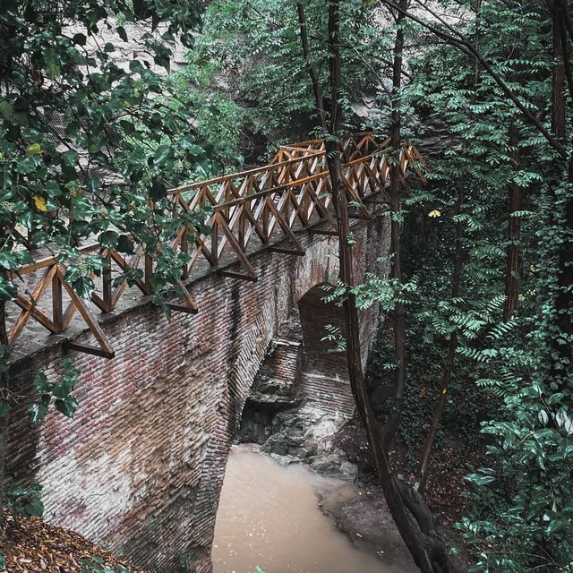 Botanical greenery of Tbilisi