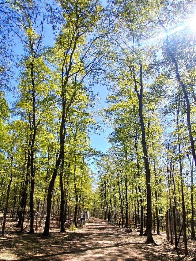 Ormanya, natural reserve in Turkey 