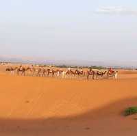 Morocco Sahara Desert Camel Ride