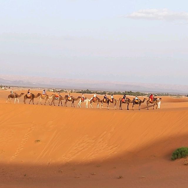 Morocco Sahara Desert Camel Ride