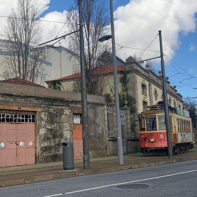 Foz do Douro, Porto