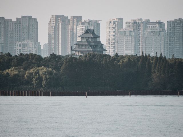 The Jinshui wan bridge 