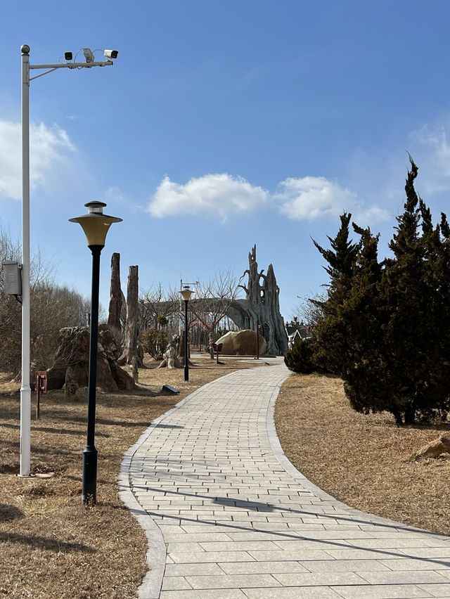 국가별 나무화석들로 꾸며진 공원, 장하 국제 수목 화석림.