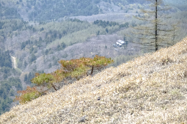 山小屋を下に見つつの大菩薩歩き