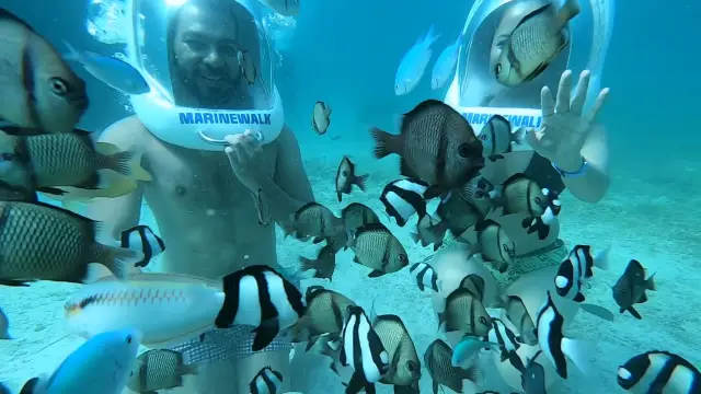 Helmet Diving Boracay - INCREDIBLE! 🤩 