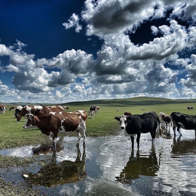 Northern Inner Mongolia