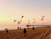 Los Angeles' most beautiful beach - Manhattan Beach