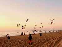 Los Angeles' most beautiful beach - Manhattan Beach